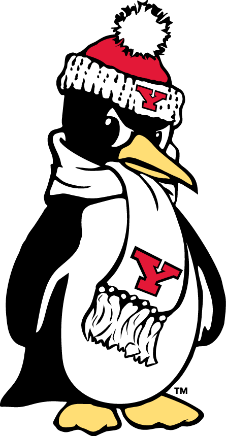 Youngstown State Penguins 1993-Pres Alternate Logo v7 iron on transfers for T-shirts